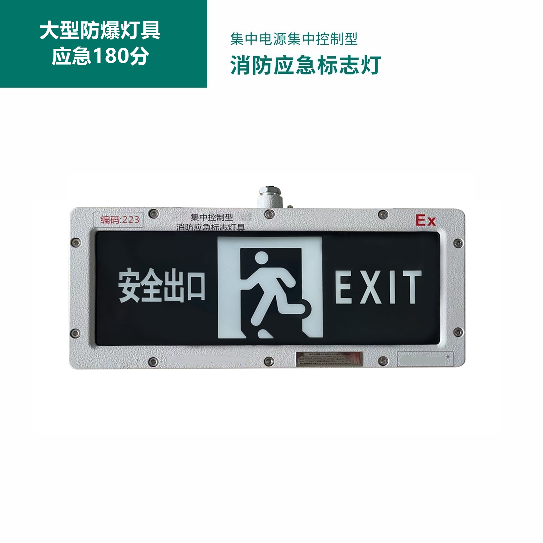大型防爆智能应急照明和疏散指示系统