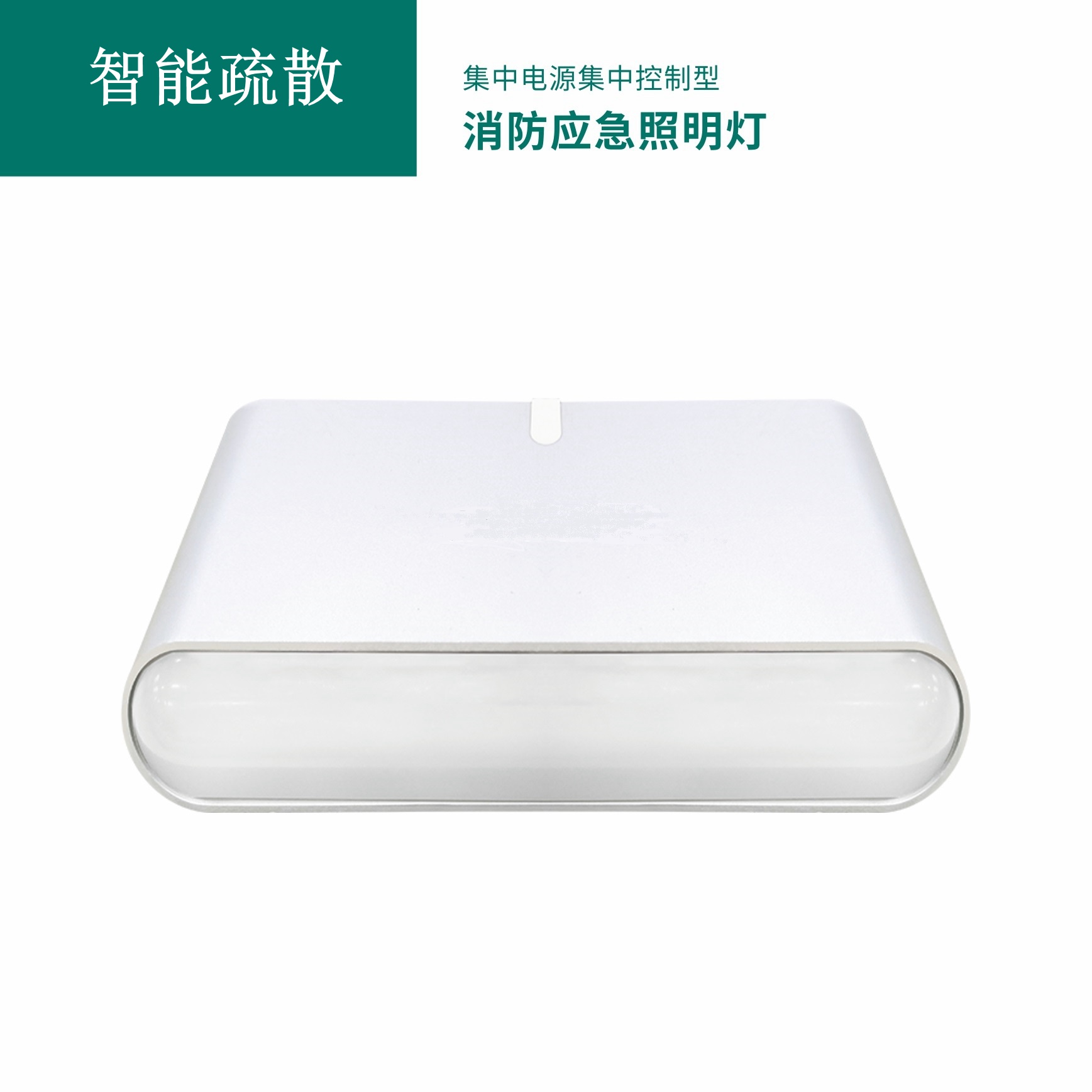 集中电源集中控制型消防应急照明灯具 GB-ZFJC-E3W-S2001