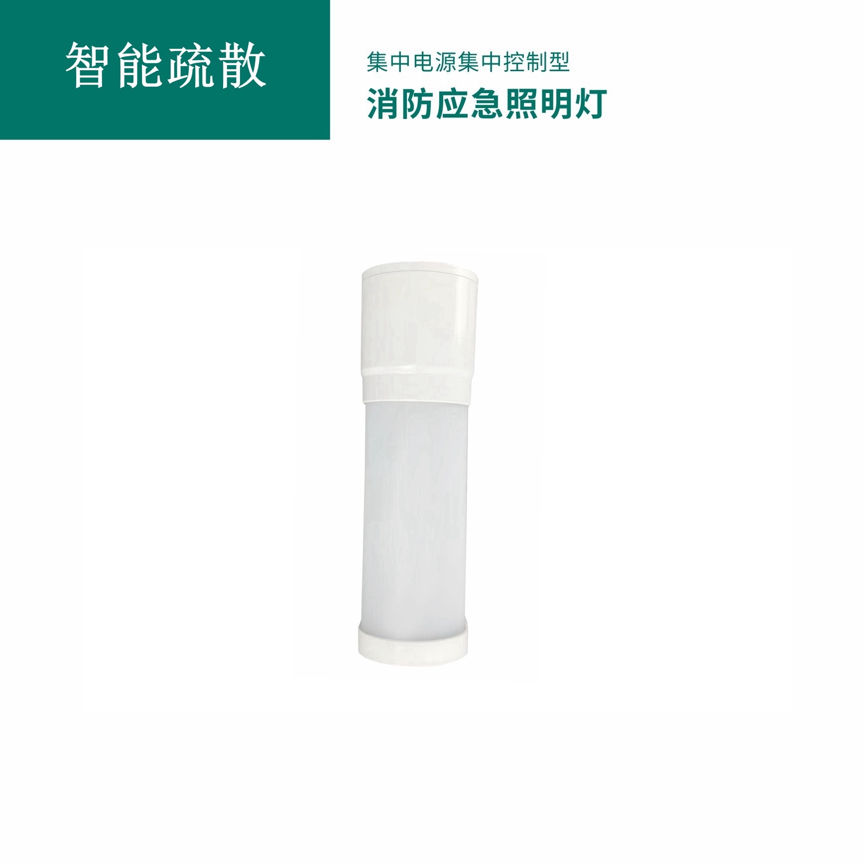 集中电源集中控制型消防应急标志灯具 GB-ZFJC-E5W-S2071