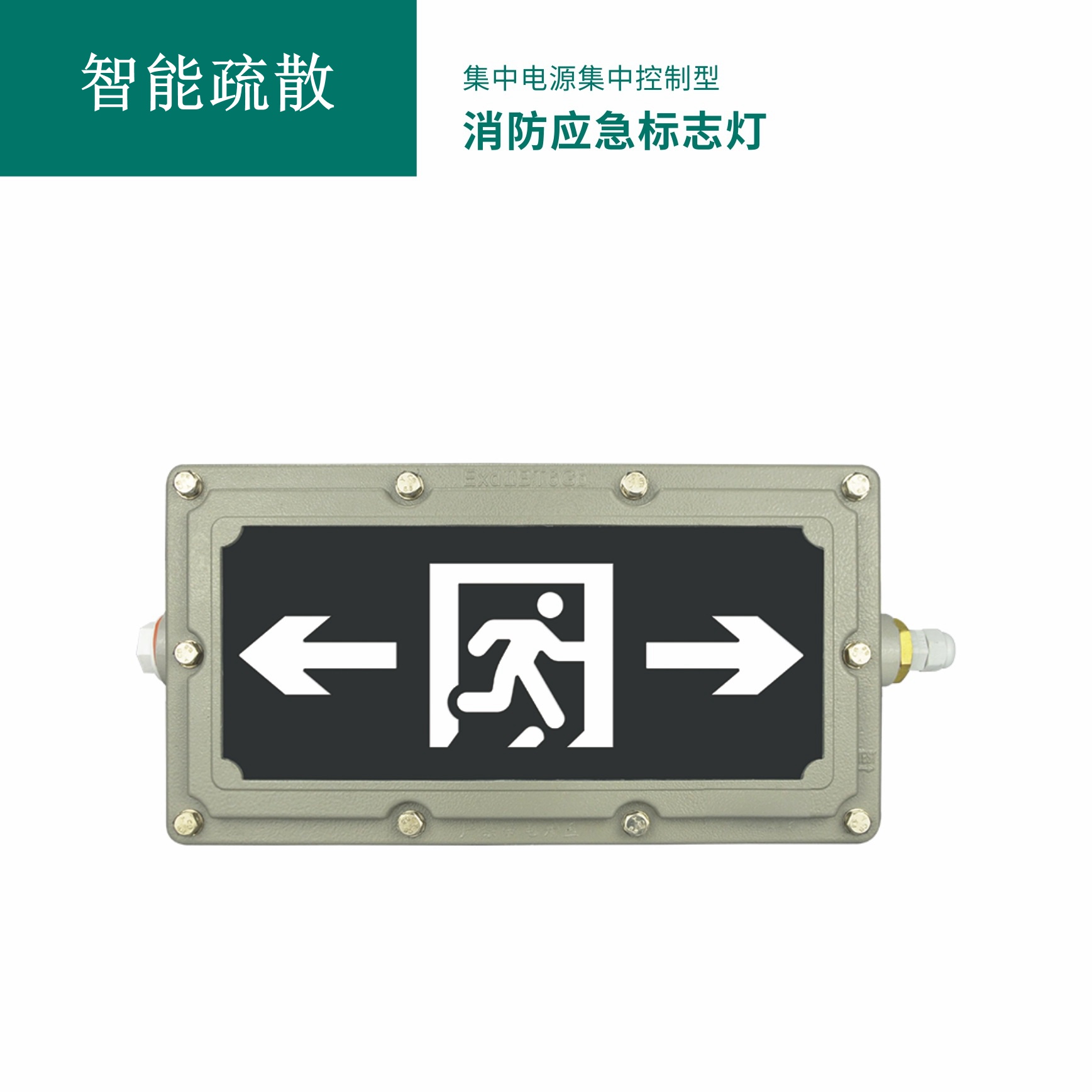 集中电源集中控制型消防应急标志灯具 GB-BLJC-1LROE I 0.4W-S2010（（防爆款）