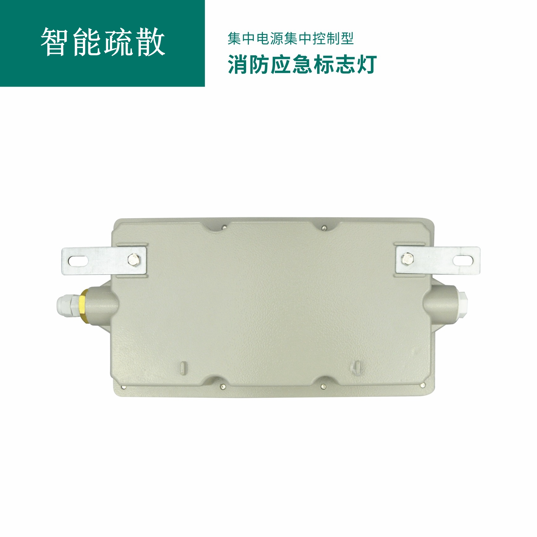 集中电源集中控制型消防应急标志灯具 GB-BLJC-1LROE I 0.4W-S2010（（防爆款）