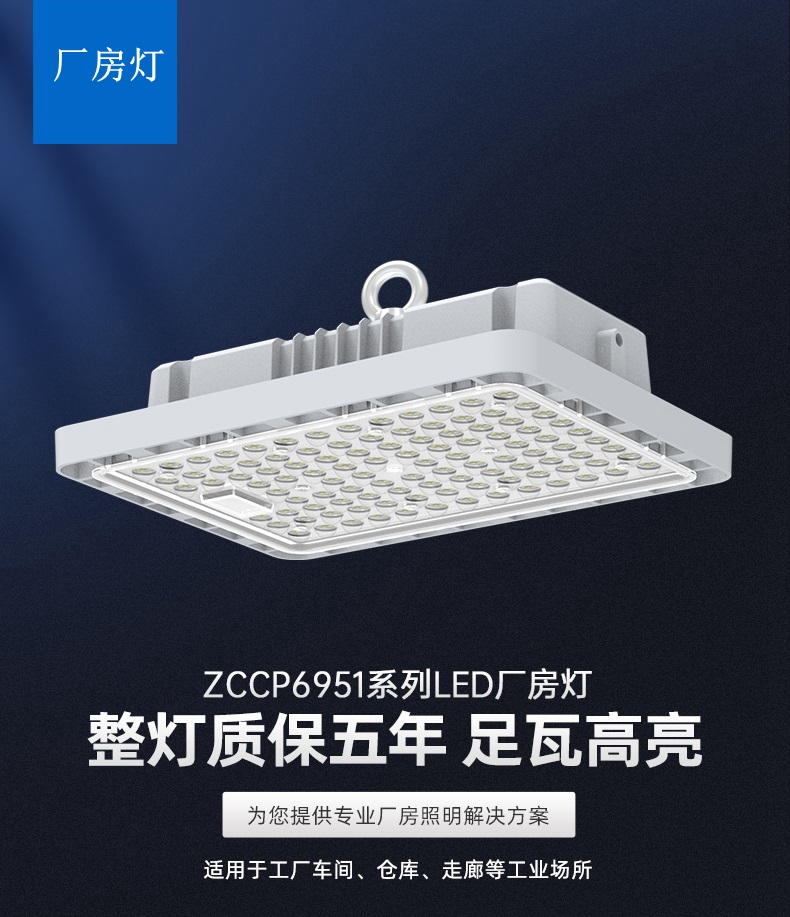 室外照明 ZCCP6951系列投光灯