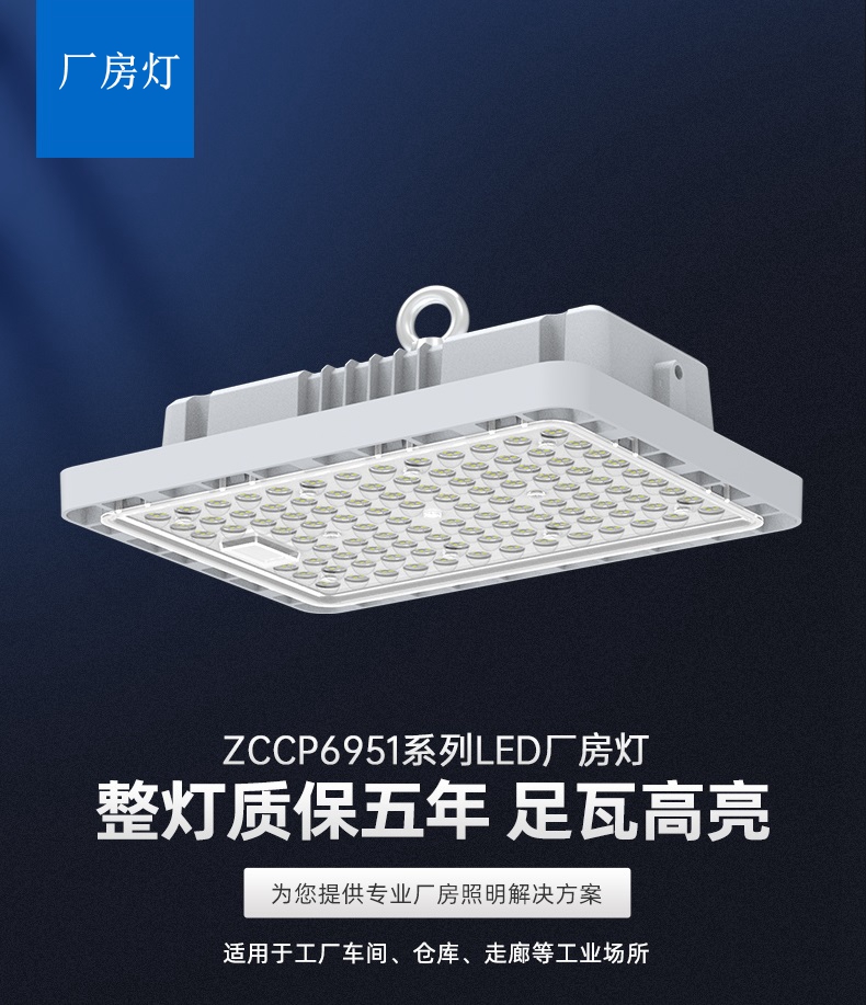 室外照明 ZCCP6951系列投光灯