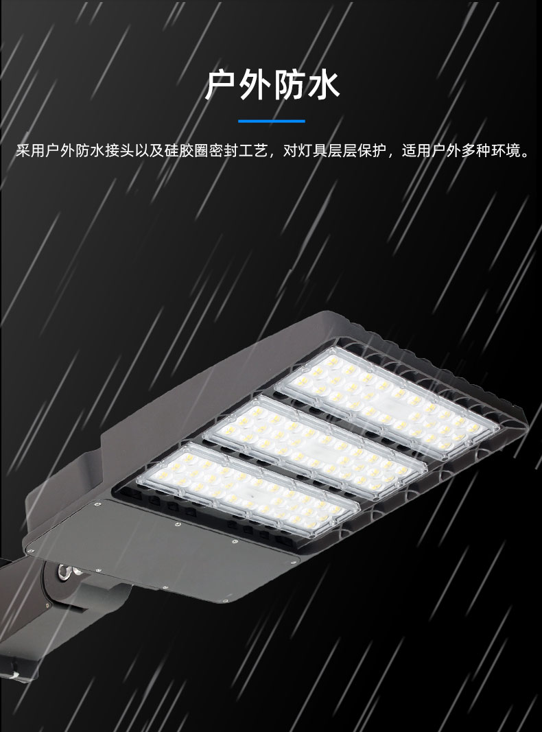 市政照明ZCRD8829系列路灯