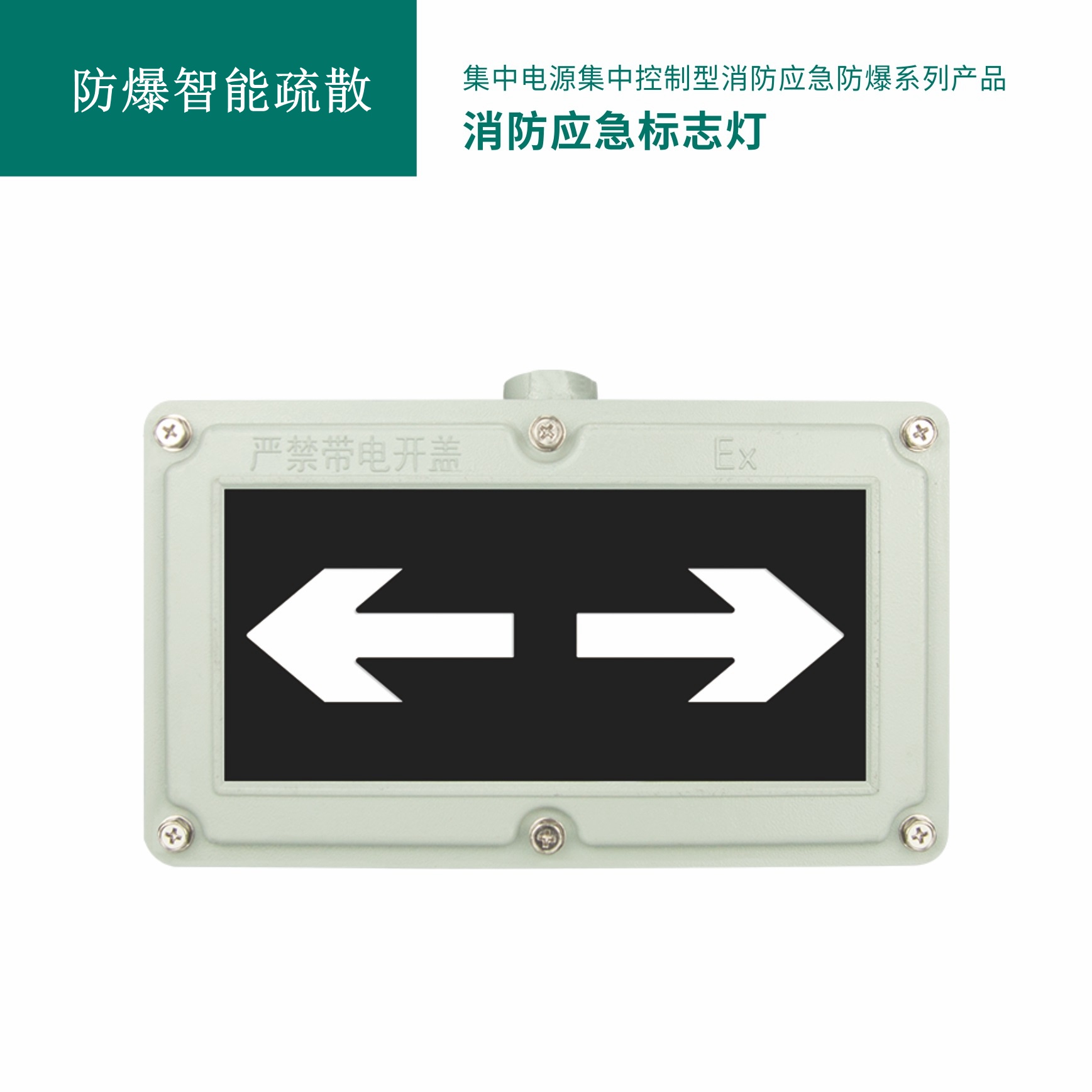 防爆应急标志灯 GB-BLJC-2LRE I 0.4W-S2085