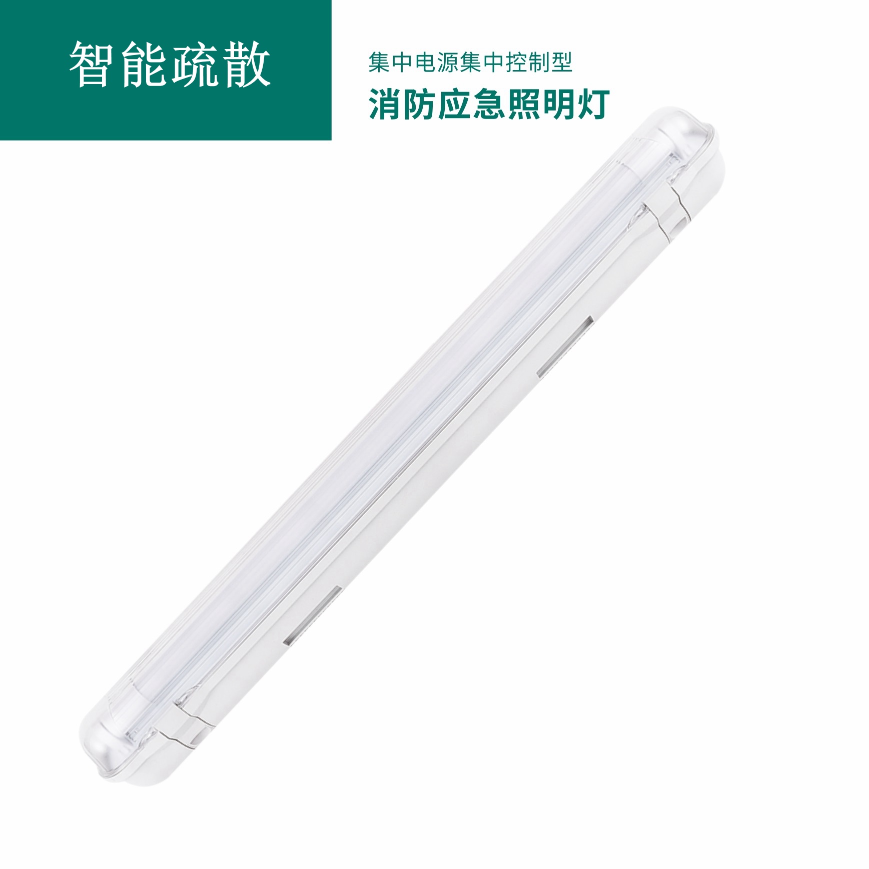 集中电源集中控制型消防应急标志灯具 GB-ZFJC-E5W-S1906 （三防）