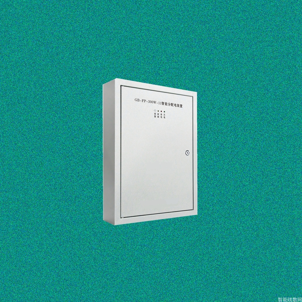 智能疏散指示及应急照明系统分配电装置 GB-FP-300W-11