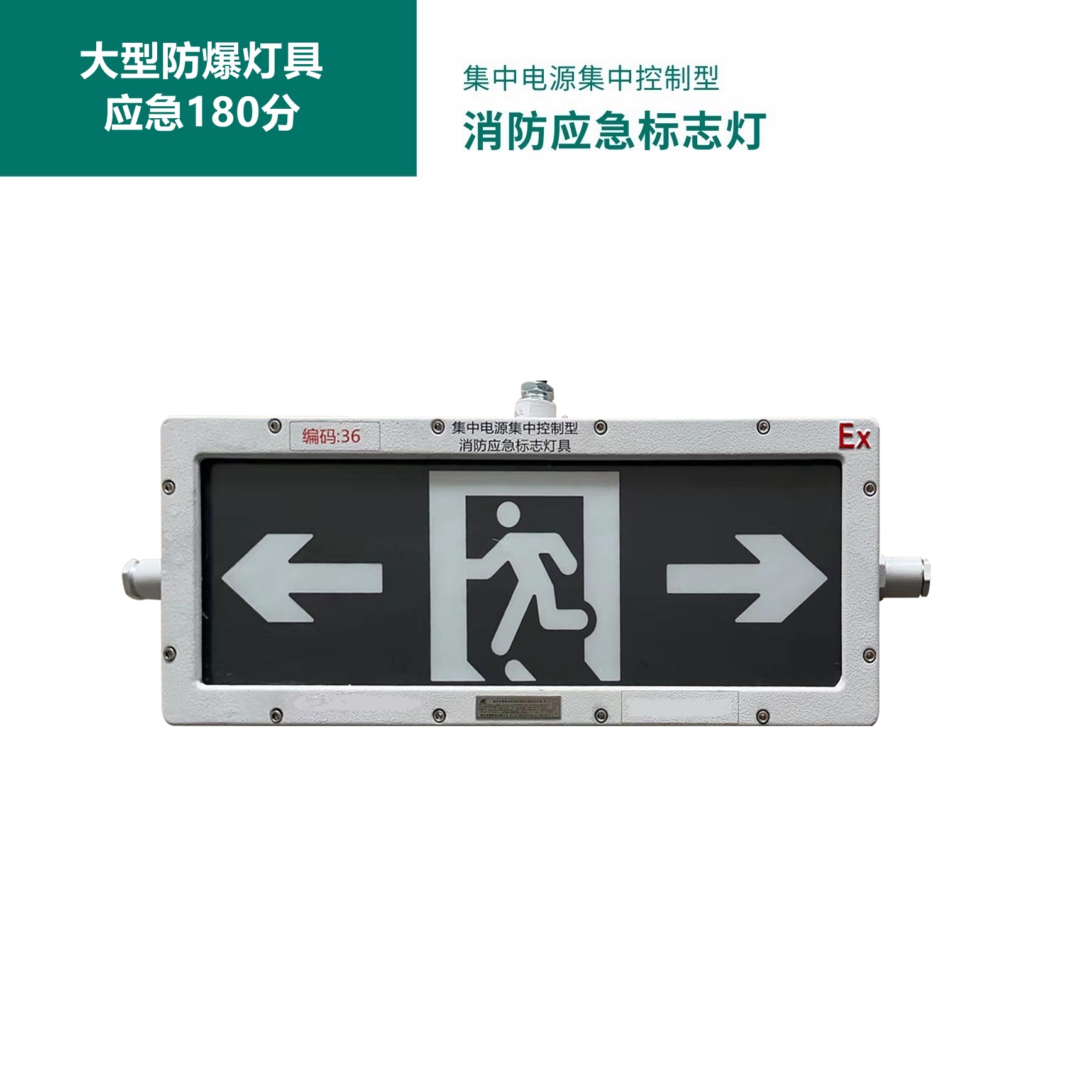 大型防爆智能应急照明和疏散指示系统